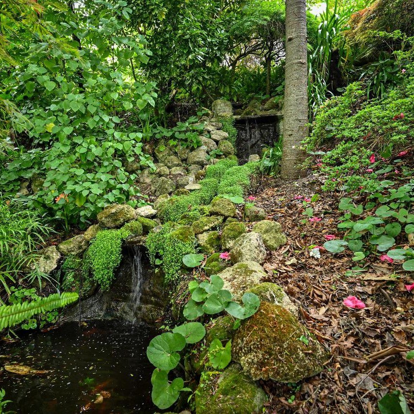 🌟New 4 Star Garden for 2026!🌟Greenwood Garden - A Notable Garden 

Nestled within a unique landscape, this enchanting garden is beautifully divided between a serene hillside and a lush, flat expanse, each offering its own distinct charm. The hillsi