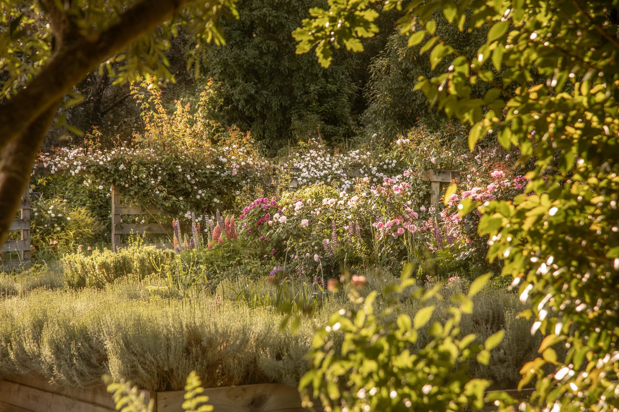 Longbush Cottage - The garden that grows joy