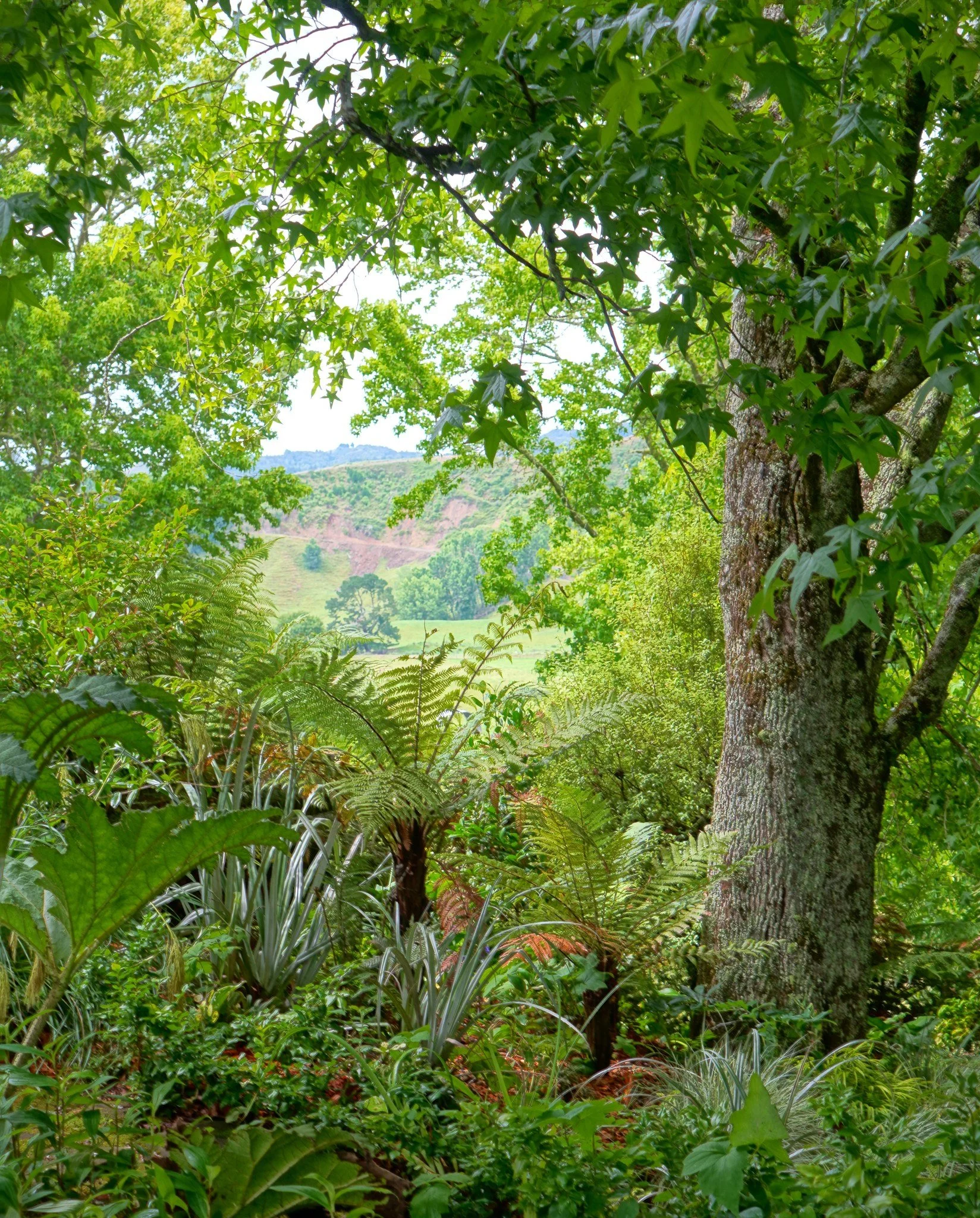Omaka Lodge ★★★★★

Just 7km from Taumarunui along the Forgotten World Highway, Omaka Lodge is reached by a short, scenic drive following the Whanganui River.

Set at the end of a tree-lined driveway, the Lodge sits within established, mature gardens 