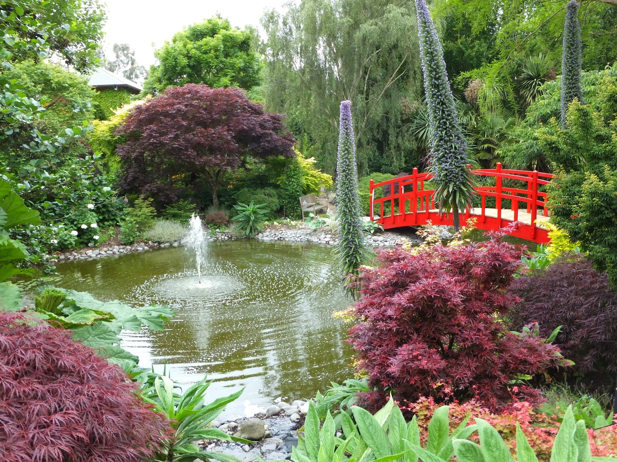 Casa Rossa &mdash; ★★★★★
Developed over 20 years from a former shingle pit, Casa Rossa is a five-star Italian-inspired garden blending formal structure near the house with more relaxed, woodland-style spaces beyond. A 60-metre tapestry beech walk cre