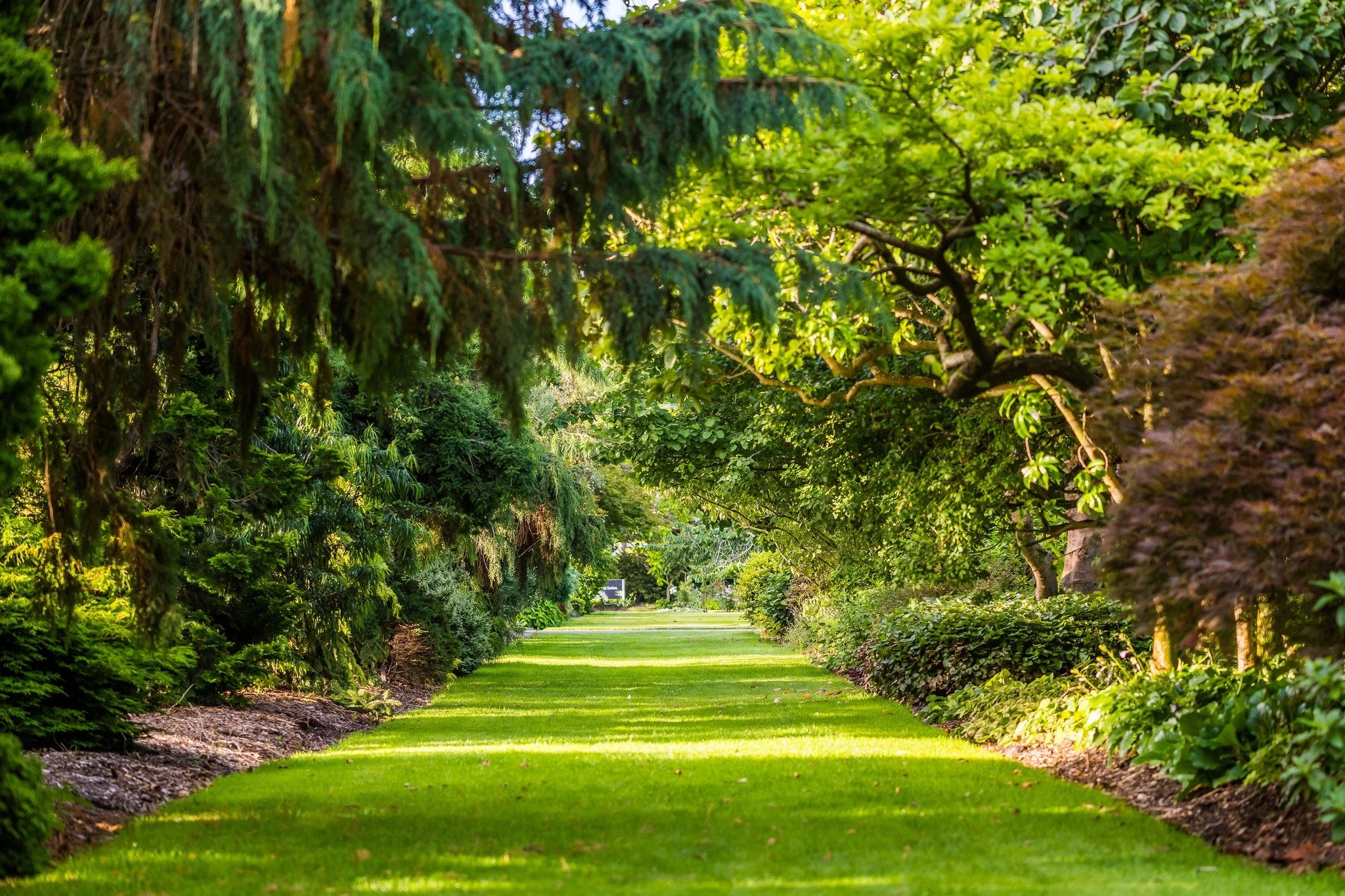 Gore Public Gardens &mdash; ★★★★★
In the heart of Gore, this five-star public garden is known for its spring rhododendron displays and annual Rhododendron Festival, along with a popular on-site aviary. Designed in 1906 by noted horticulturist David T