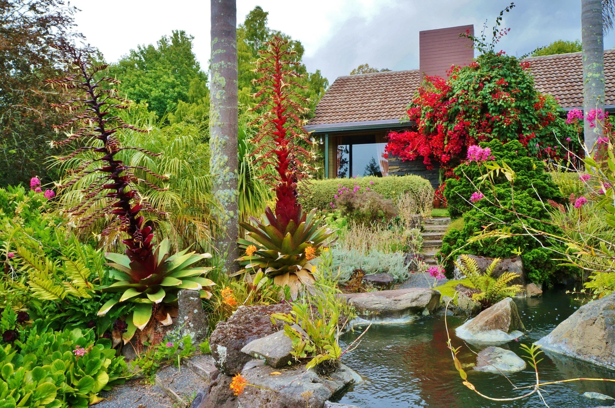 Ayrlies Garden &mdash; ★★★★★★
One of New Zealand&rsquo;s best-known six-star gardens, Ayrlies blends sweeping lawns, ponds and richly detailed planting across six hectares in south-east Auckland, with extensive wetlands linking the garden to the sea.