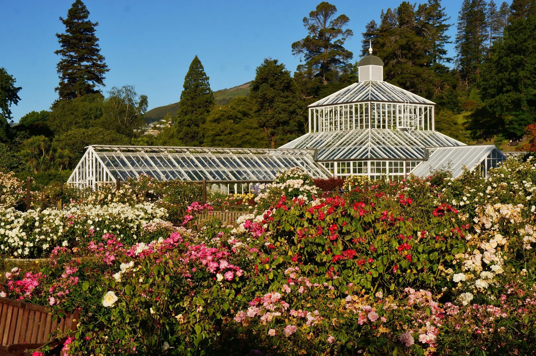 Congratulations to Dunedin Botanic Garden, Doctors Point Garden, Paripuma, The Elms Te Papa Tauranga, and Tauhara Garden on achieving NZ Gardens Trust Earth Stars status.

Earth Stars recognise gardens that demonstrate a strong commitment to sustaina