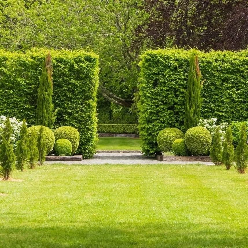 Whakapuni Station Garden ★★★
Set on a working sheep and beef station near Martinborough, Whakapuni Station Garden blends historic plantings with thoughtful new development around a 1931 homestead. Formal borders of roses, peonies, lavender and hydran