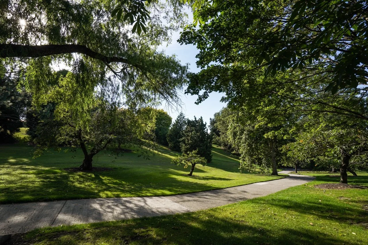 Bannerman Park ★★★★

Dating from the 1870s, Bannerman Park&rsquo;s sheltered valley was cleared of gorse and broom in the 1960s and transformed with sweeping plantings of rhododendrons, conifers and silver birch.

Spring brings daffodils, camellias, 