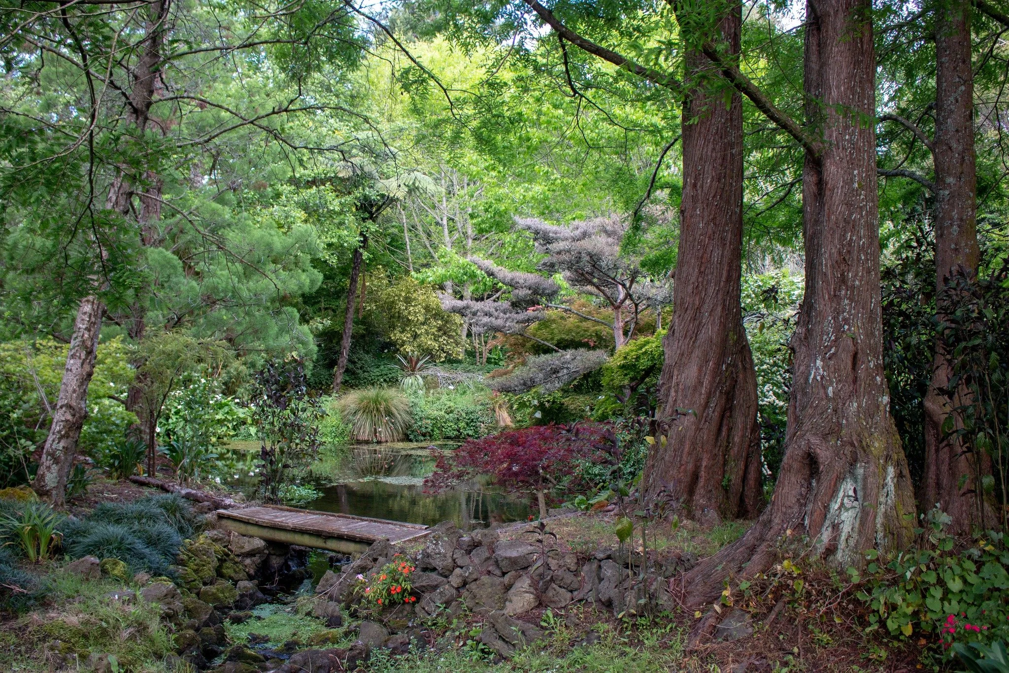 Ngahuha Gardens ★★★★

Set across 15 acres and developed over 35 years, Ngahuha Gardens is a carefully composed &lsquo;manicured wilderness&rsquo;. Owners Peter and Gerry Milsom have shaped a tranquil retreat filled with rare and unusual plants.

Temp