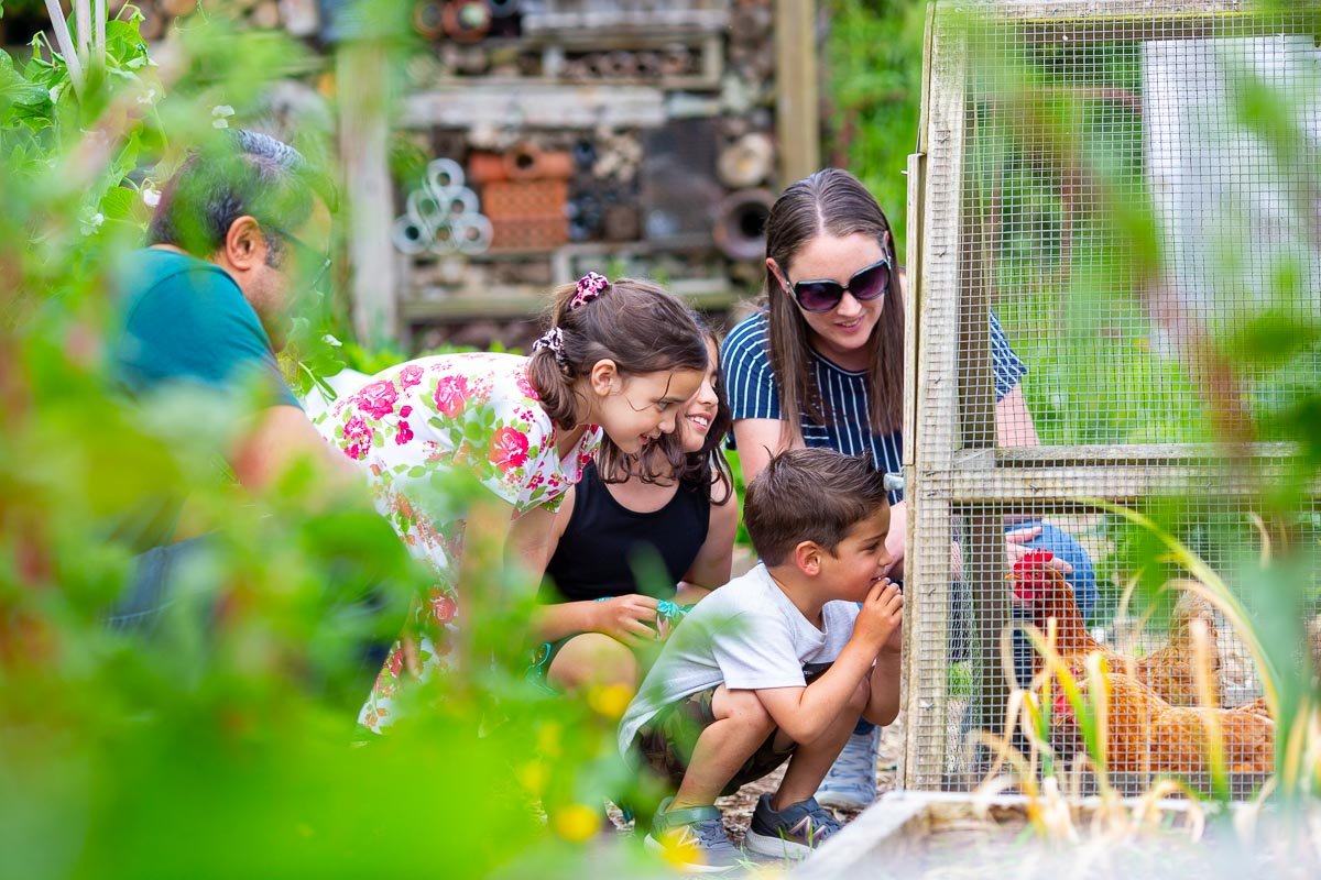 Hollard Gardens ★★★★★

Intimate, informal and layered with plant history, Hollard Gardens reflects Bernie Hollard&rsquo;s legacy of plant breeding and innovation. The Old Garden (1927) offers depth and maturity, while the New Garden (1981) brings ope