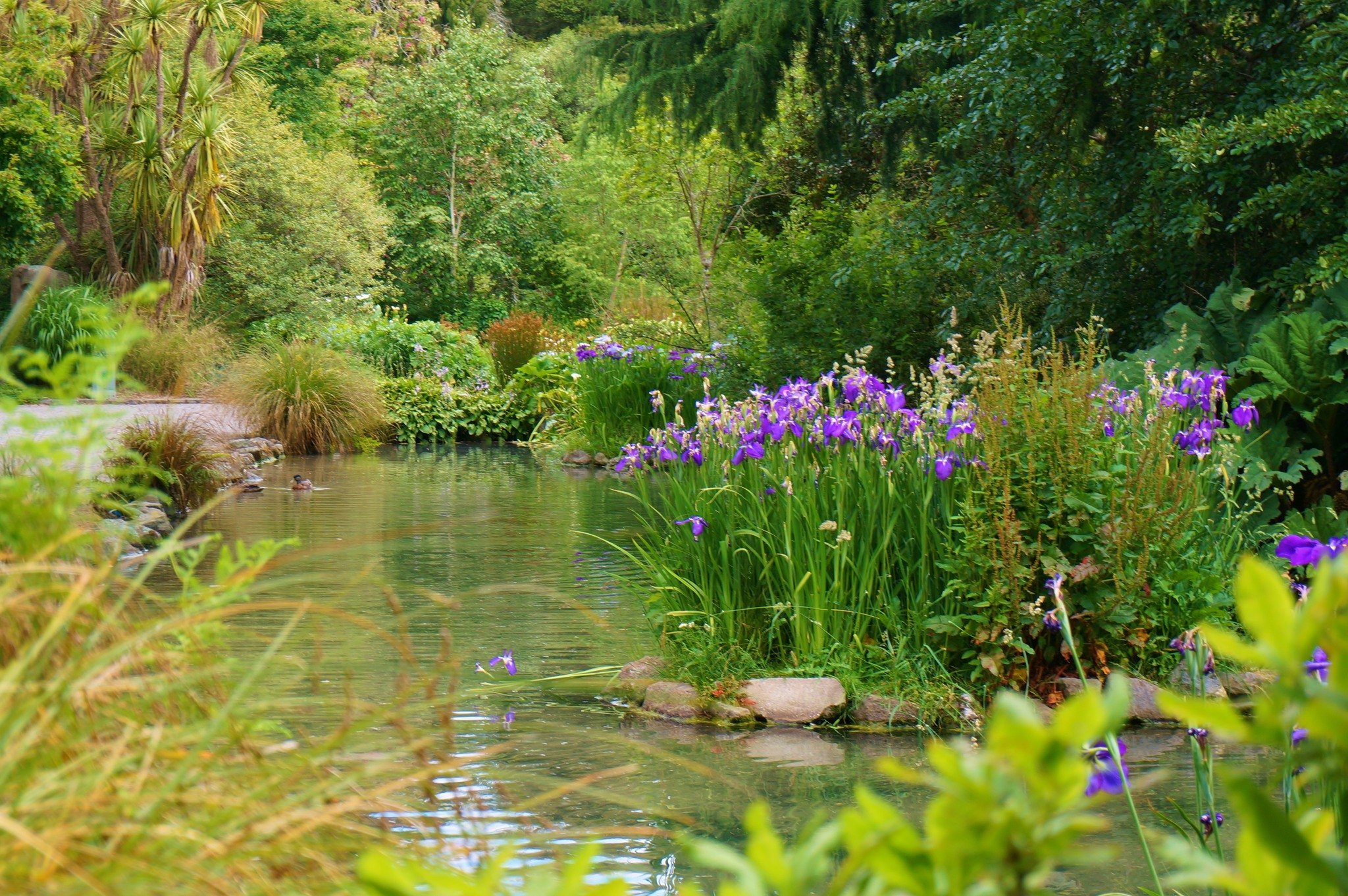 Christchurch Botanic Garden ★★★★★

Renowned for its magnificent trees, the Christchurch Botanic Garden in Hagley Park dates from the early 1860s. The largely flat garden is easy to explore, with sweeping lawns and a wealth of plant collections.

High