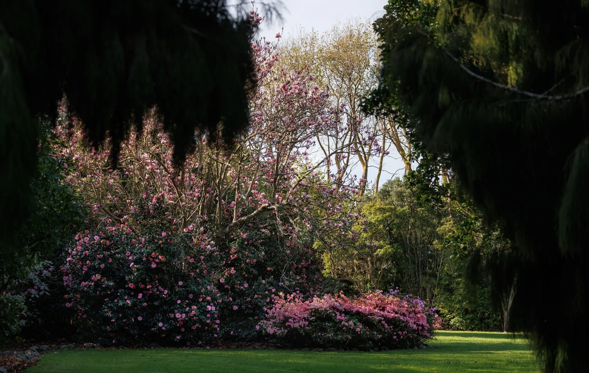 Anam Cara ★★★★

Anam Cara &mdash; Gaelic for &ldquo;soul friend&rdquo; &mdash; is a peaceful ten-acre garden on the sunny Kāpiti Coast. A blend of arboretum and botanic garden, it combines native and exotic trees to create a series of tranquil garden