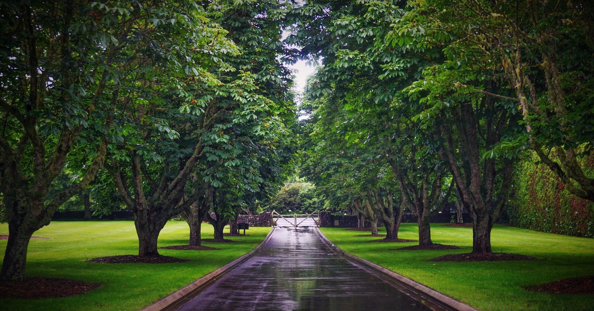 Mincher ★★★★★★

Approached by a chestnut-lined drive past old orchards and streams, Mincher is a large rural garden just north of Auckland&rsquo;s CBD, rich in birdlife and home to ducks, kingfishers, tūī and kākā.

The Georgian-style house is framed