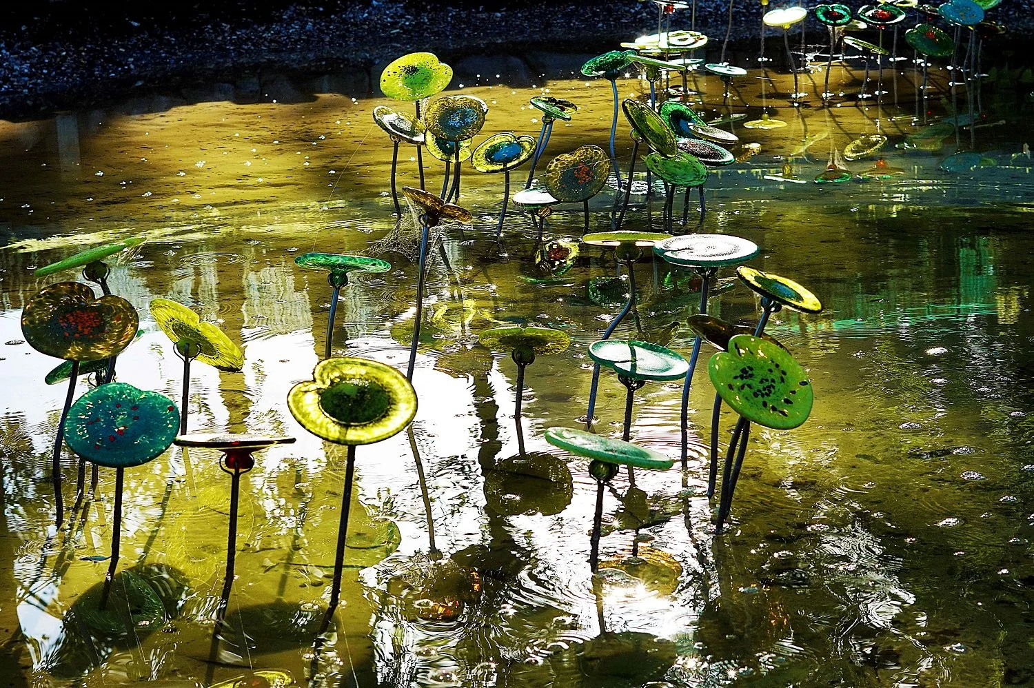 Lava Glass Sculpture Garden ★★★★★

Set in an acre of manicured rural grounds, this distinctive garden features more than 600 glass sculptures, with a 500-metre boardwalk winding through ponds, plantings and vivid displays of glass flowers.

A glass w