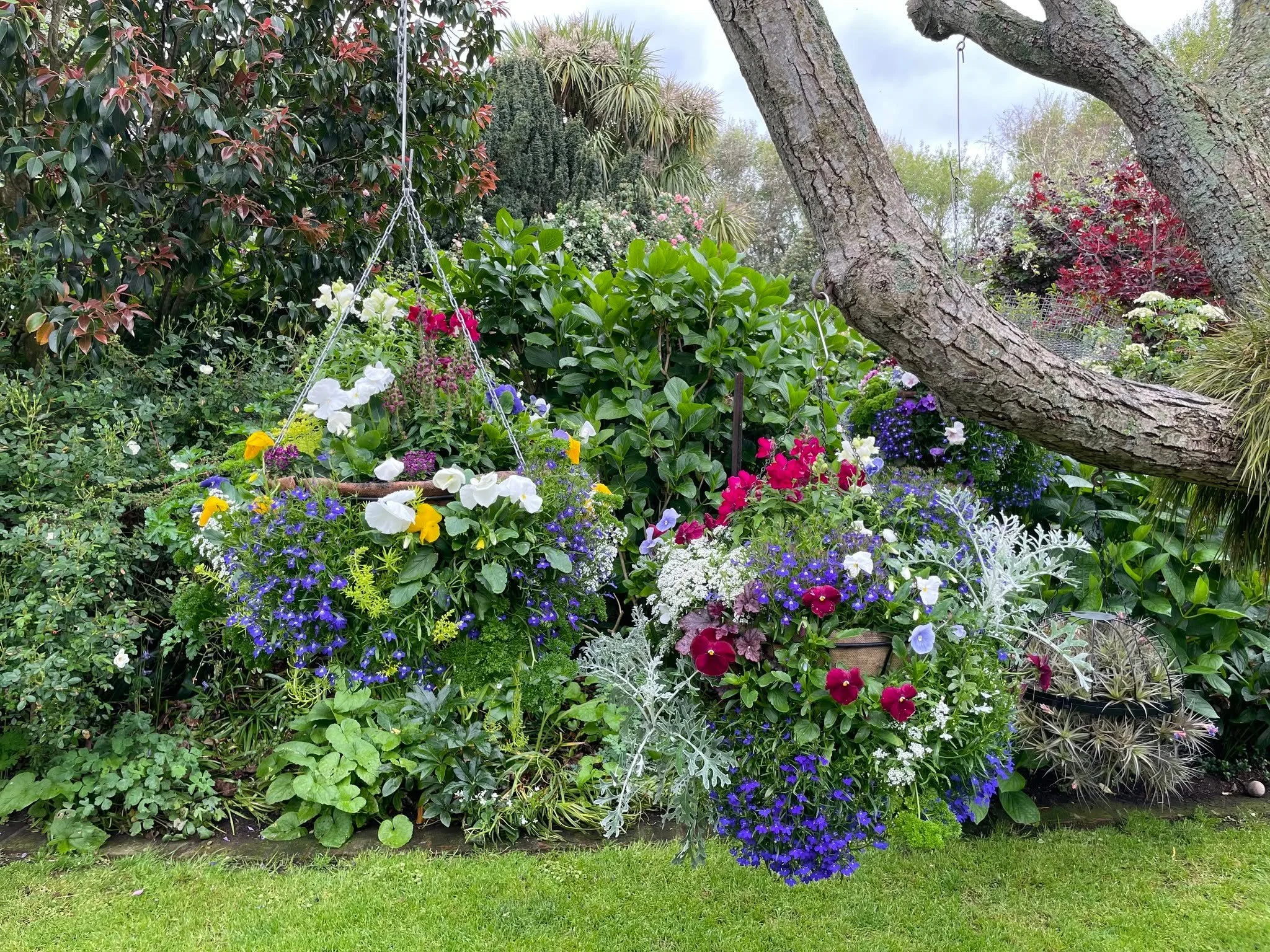 ★★★★★★

Carefully planned and fully planted garden rooms are linked with hedge-lined paths. Features include specially built brick walls and pillars, exuberant cottage-style borders, early flowering roses, a vegetable potager and many exceptional han