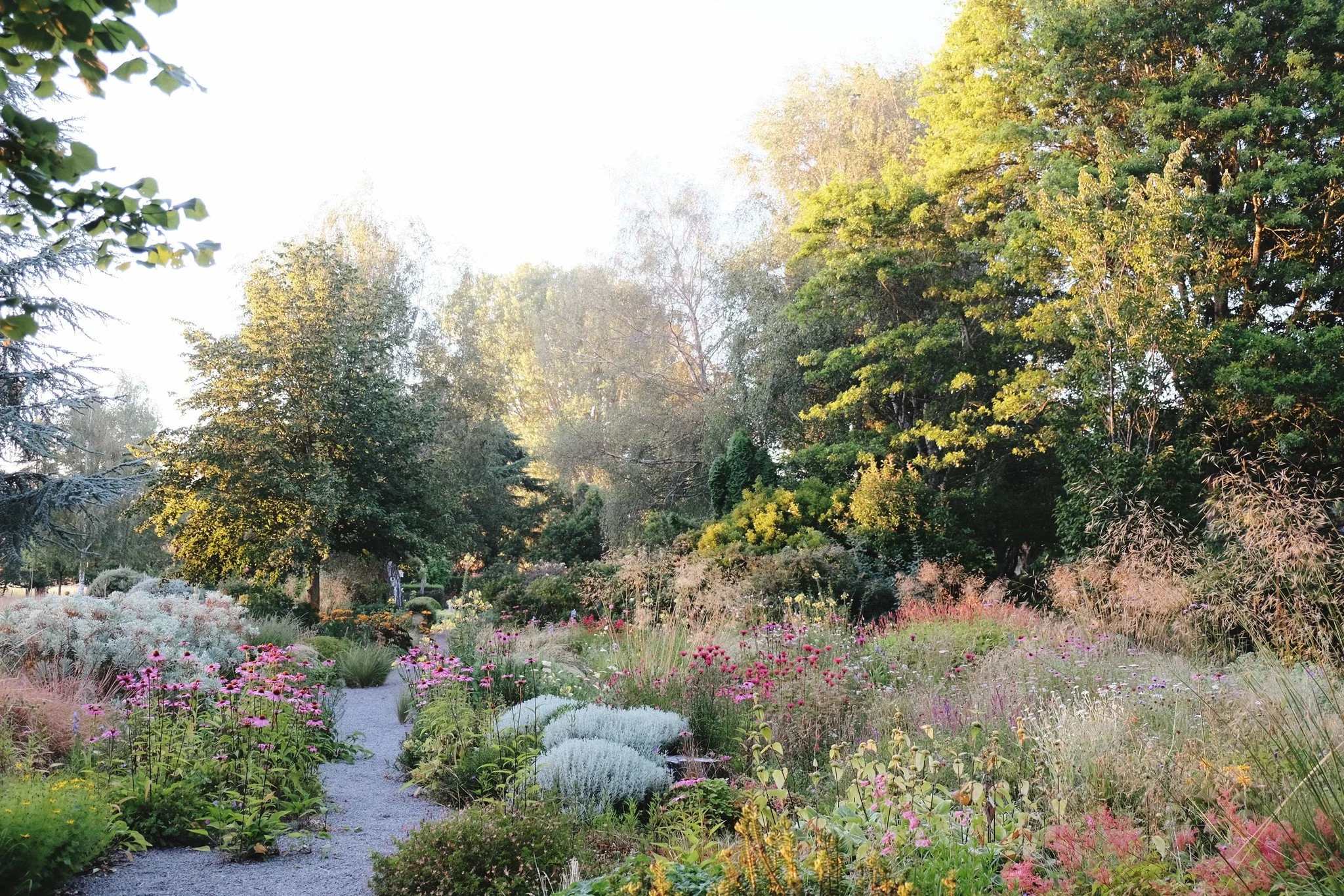 Flaxmere Garden ★★★★★★

Established over 50 years ago on a North Canterbury sheep farm, Flaxmere is a large country garden shaped to frame sweeping mountain views and create a strong sense of calm within its landscape.

A series of five ponds form th