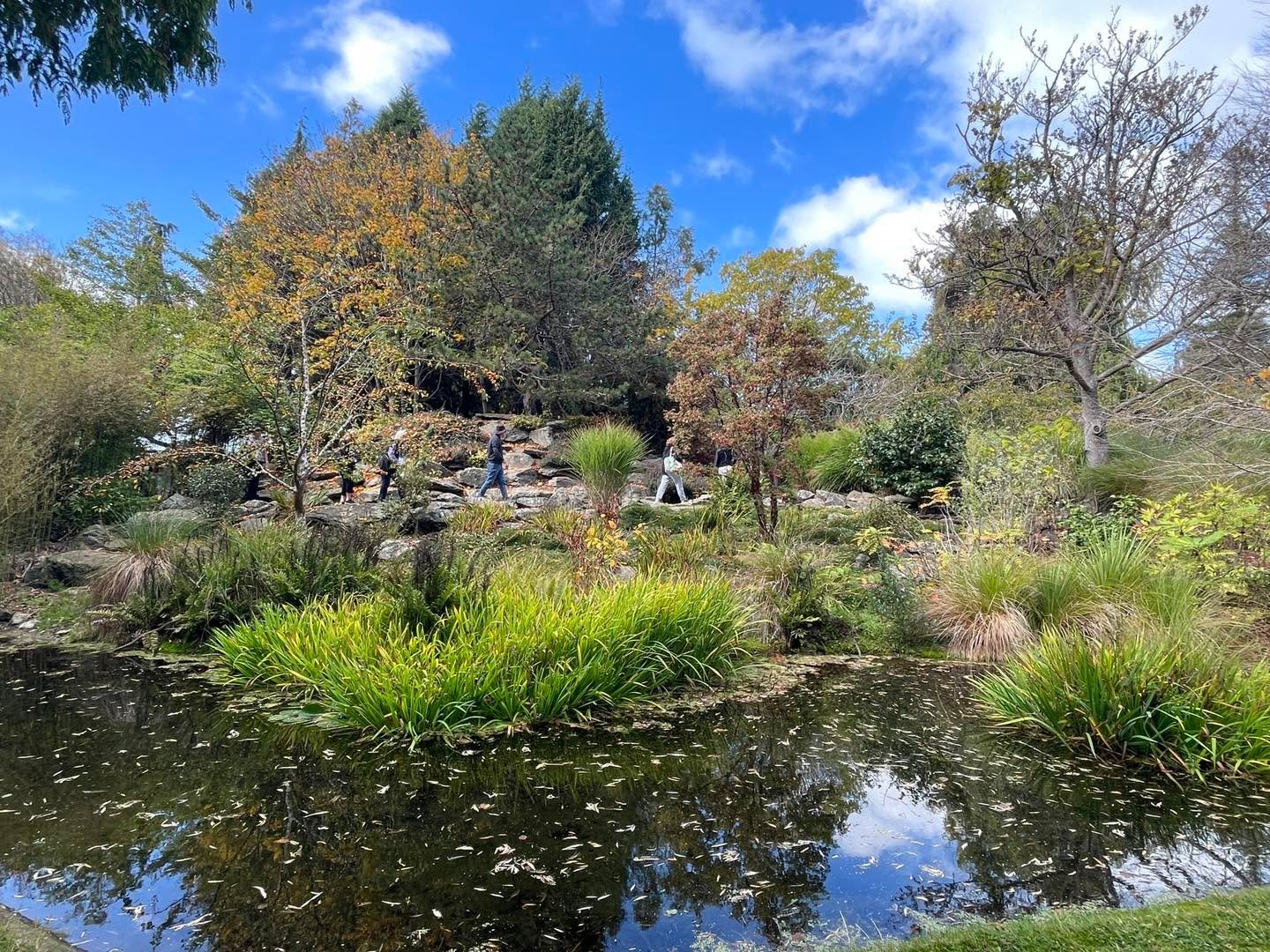 A lovely restful walk through Oamaru Public Gardens - so much history here - The gardens are the fifth oldest in NZ!  #nzgardenstrust