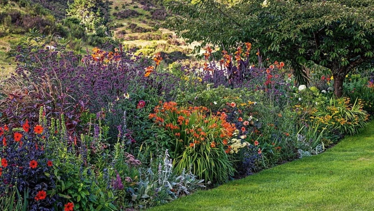 Tauhara, Lake Taupo
★★★★★
A country garden of one and a half hectares at the foot of Mount Tauhara, developed thoughtfully over 25 years. From spring bulbs and scented lilies to hot-coloured perennials, a damselfly pond, and a shaded valley planted w