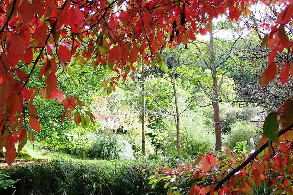 Eastwoodhill Arboretum
★★★★★
The most comprehensive collection of woody plants in New Zealand &mdash; and quite possibly the largest collection of Northern Hemisphere trees south of the equator. Set across 135 hectares of Gisborne hill country, Eastw