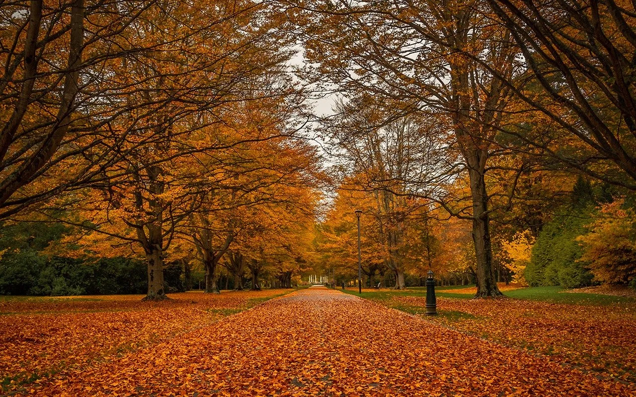 Queens Park, Invercargill &mdash; ★★★★★
Not many city parks earn five stars, but Queens Park earns every one of them. Established in 1856 and still going strong across 81 hectares, it's the kind of place where you pop in for half an hour and emerge t