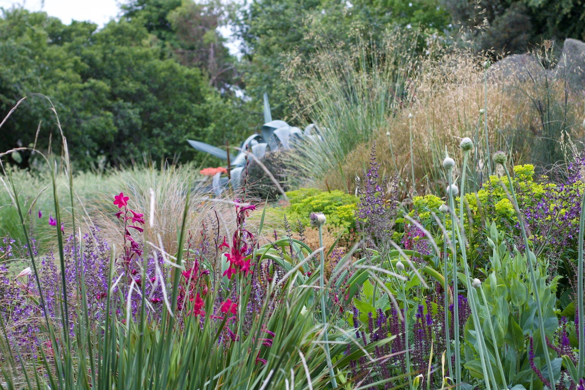 Welton House, Blenheim &mdash; ★★★★★
Perched on an ancient sand dune on the outskirts of Blenheim, surrounded by vineyard rows, Welton House is unlike anywhere else you'll visit. Owner Wendy Palmer and her garden designer brother Ross have been at it