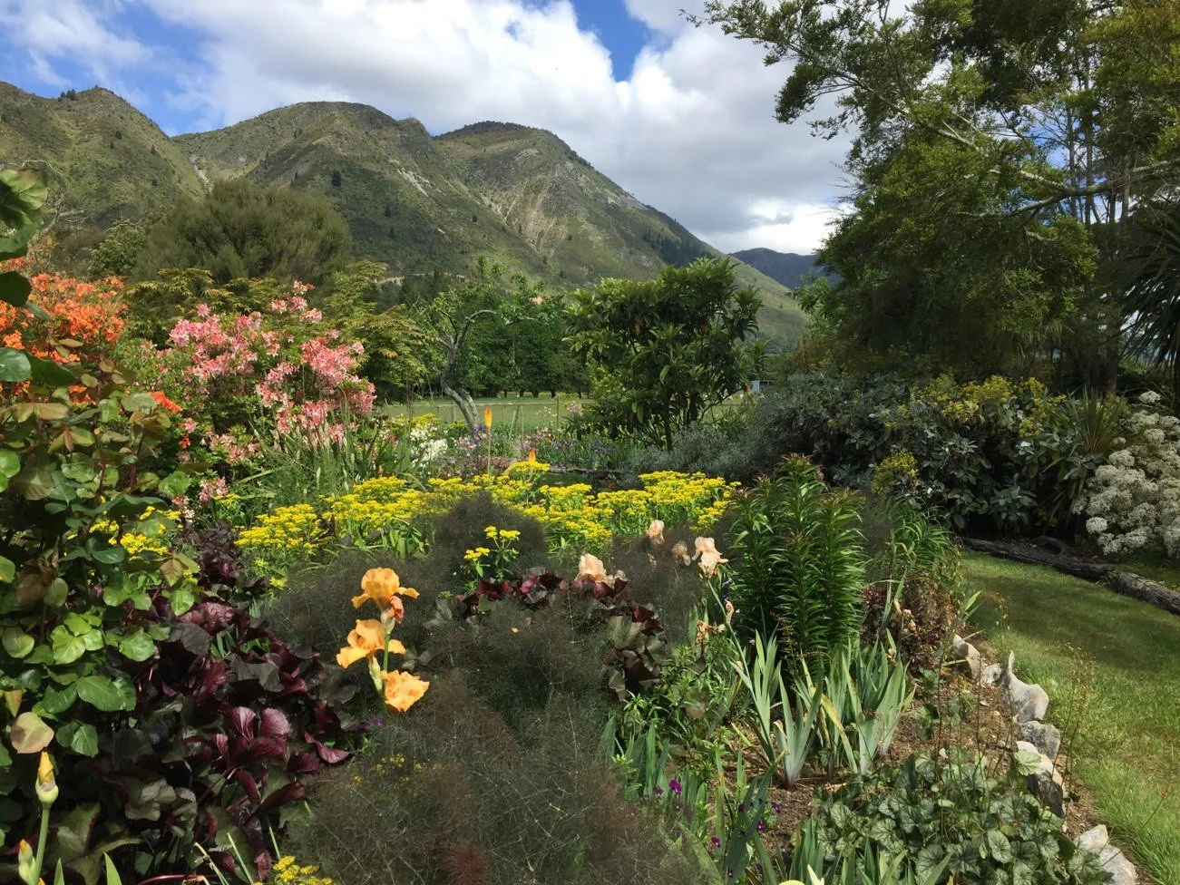 Tussix, East Takaka &mdash; ★★★★
Down a country road in East Takaka, Tussix is the sort of garden you might nearly drive past &mdash; and would very much regret doing so. In late spring it puts on one of the finest displays of Chatham Island forget-m