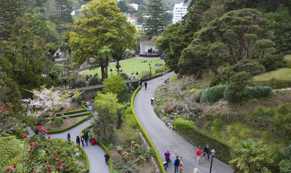 Wellington Botanic Garden ki Paekākā &mdash; ★★★★★
Established in 1868 and perched above the city, Wellington Botanic Garden is one of those places that rewards both the first-time visitor and the regular alike. Take the cable car up from Lambton Qua