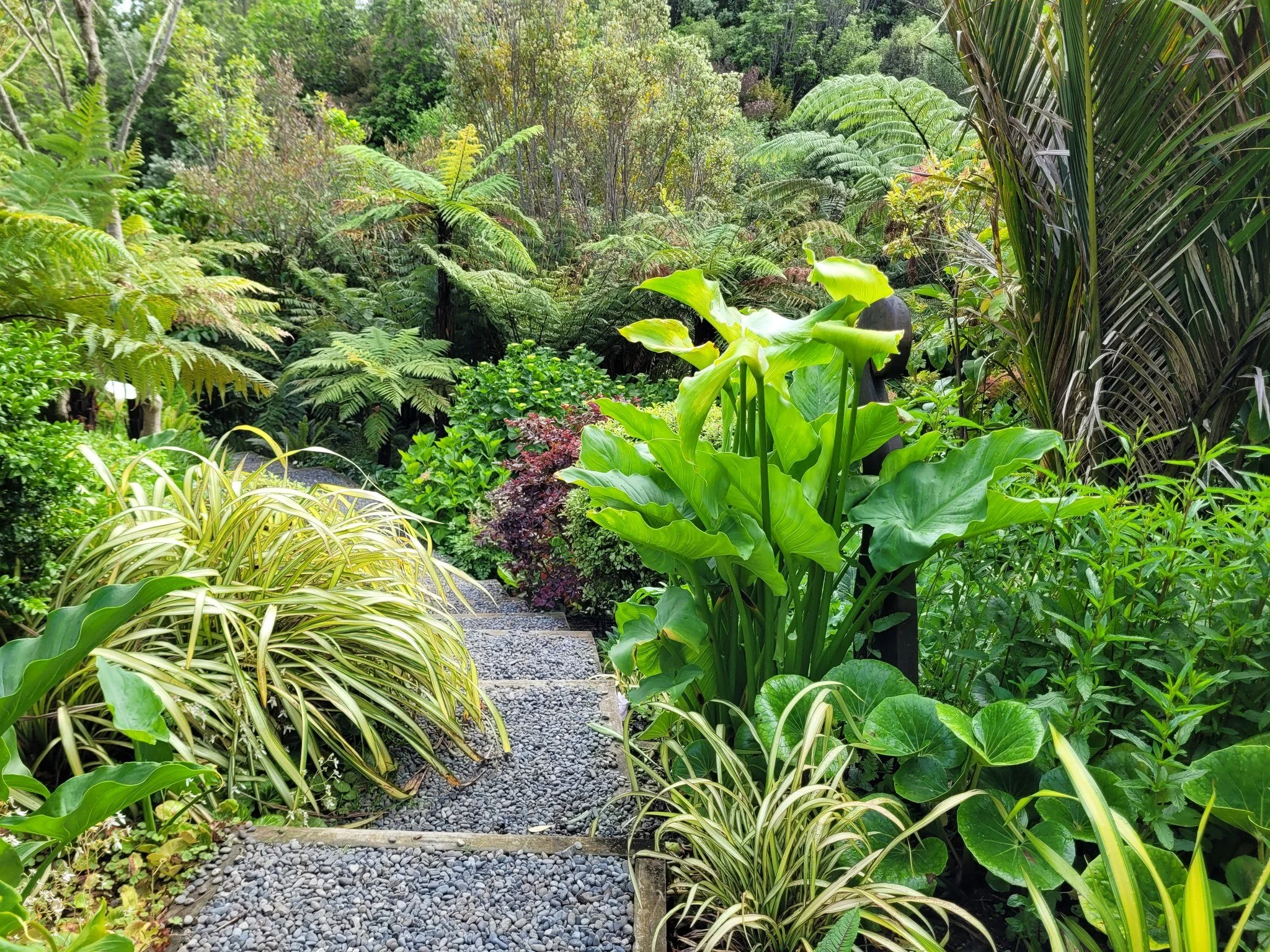 Hlomo Hlomo, Palmerston North ★★★★★

Just a short drive from the city, Hlomo Hlomo is a large, sprawling country garden with a name that announces its intentions &mdash; a Zulu phrase meaning "I have stuck my spear in the ground and claim it as 