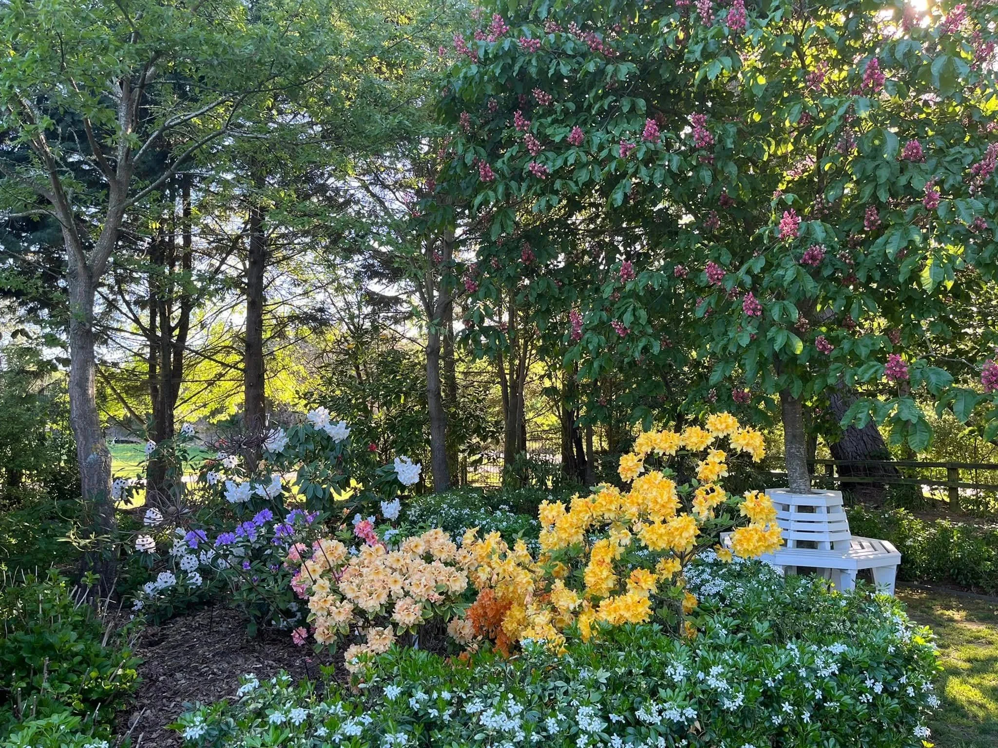 Broadoak, Ohoka ★★★★★
Twenty minutes north of Christchurch, on a working lifestyle block in Ohoka, Claire and Shaun Maloney have created something that stops visitors in their tracks. What began as a bare commercial peony paddock is now a two-acre fo