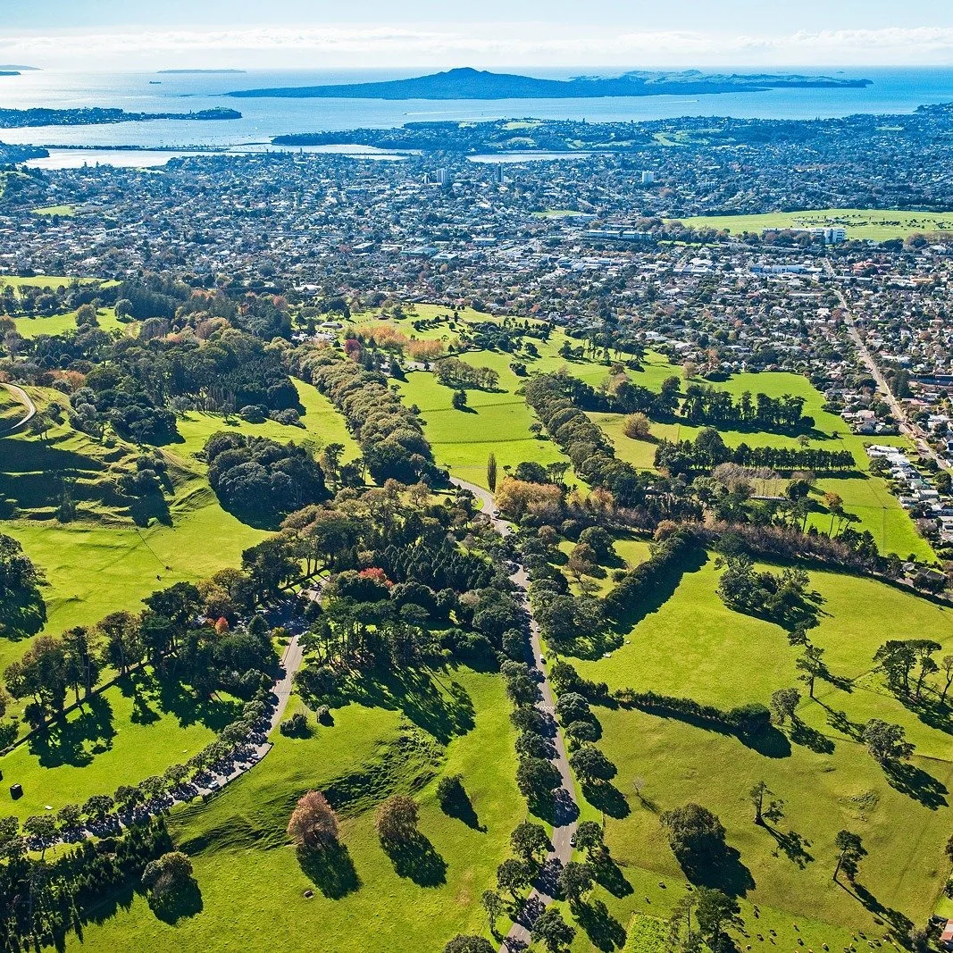 Cornwall Park, Auckland
⭐⭐⭐⭐⭐ Garden of National Significance
172 hectares of parkland, avenues and working farm in the heart of Auckland &mdash; given freely to New Zealanders in 1901, and free to visit still.

#newzealandgardenstrust #cornwallpark 