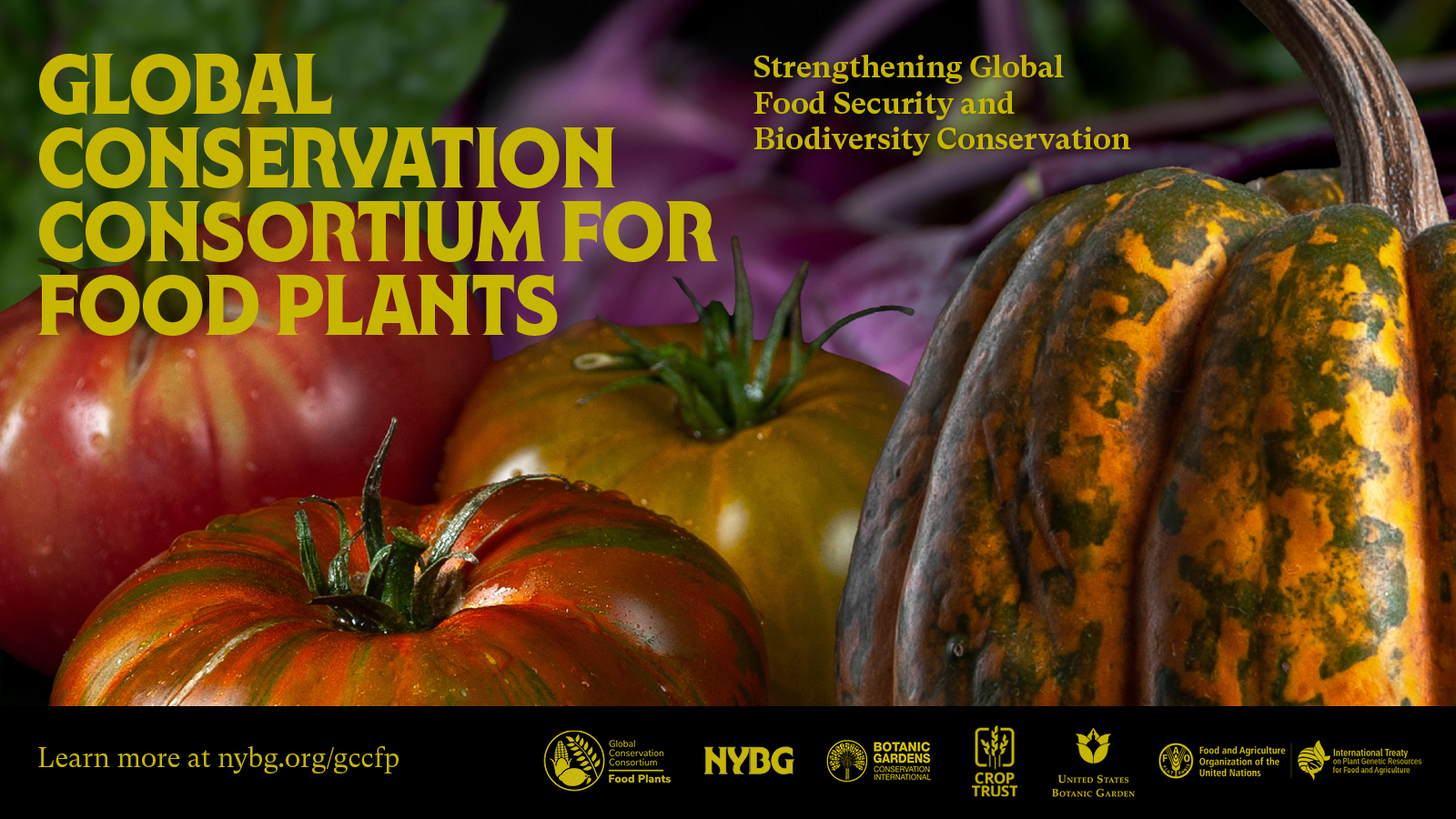 Safeguarding the Food Plants of the Future: A Global Mission