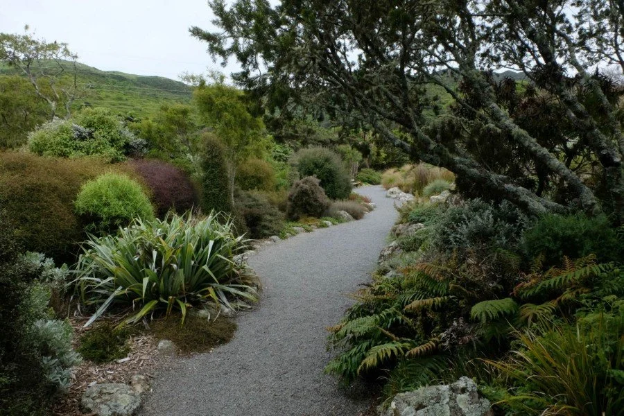 Ōtari-Wilton's Bush ★★★★★★
Garden of International Significance
New Zealand's only public botanic garden devoted entirely to native plants. Five hectares of collections, 100 hectares of ancient forest, and an 800-year-old rimu that puts everything el