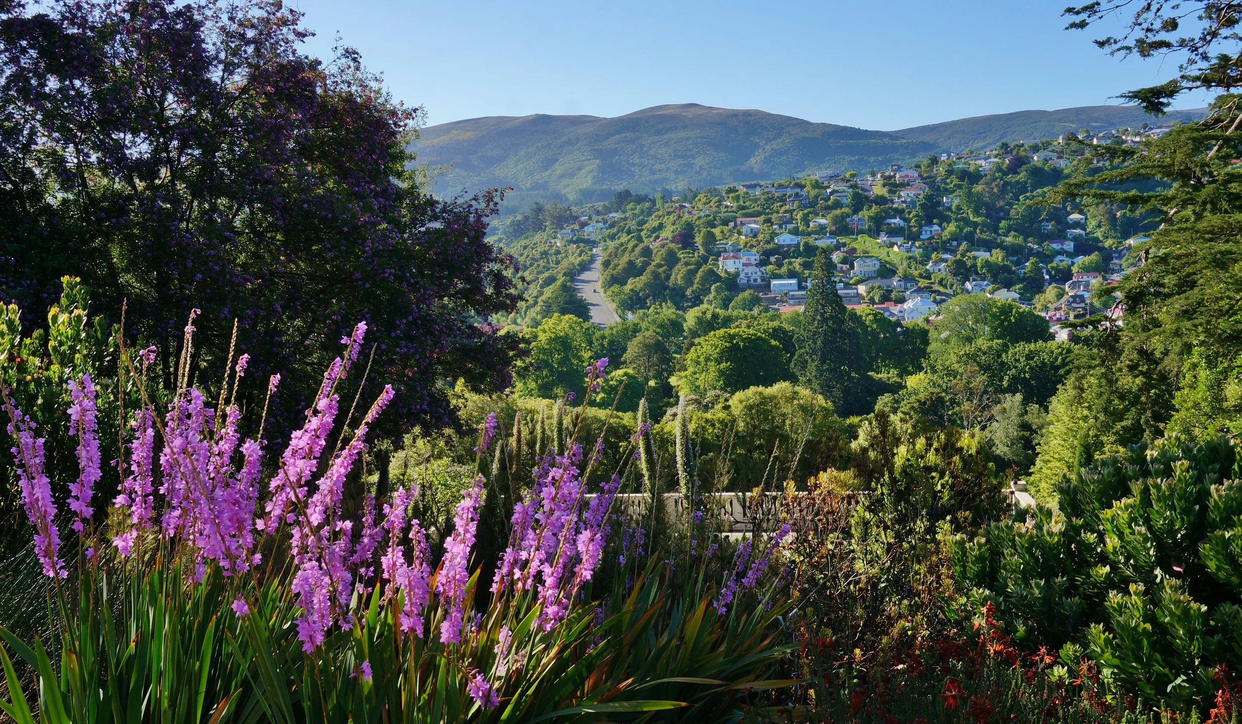Dunedin Botanic Garden