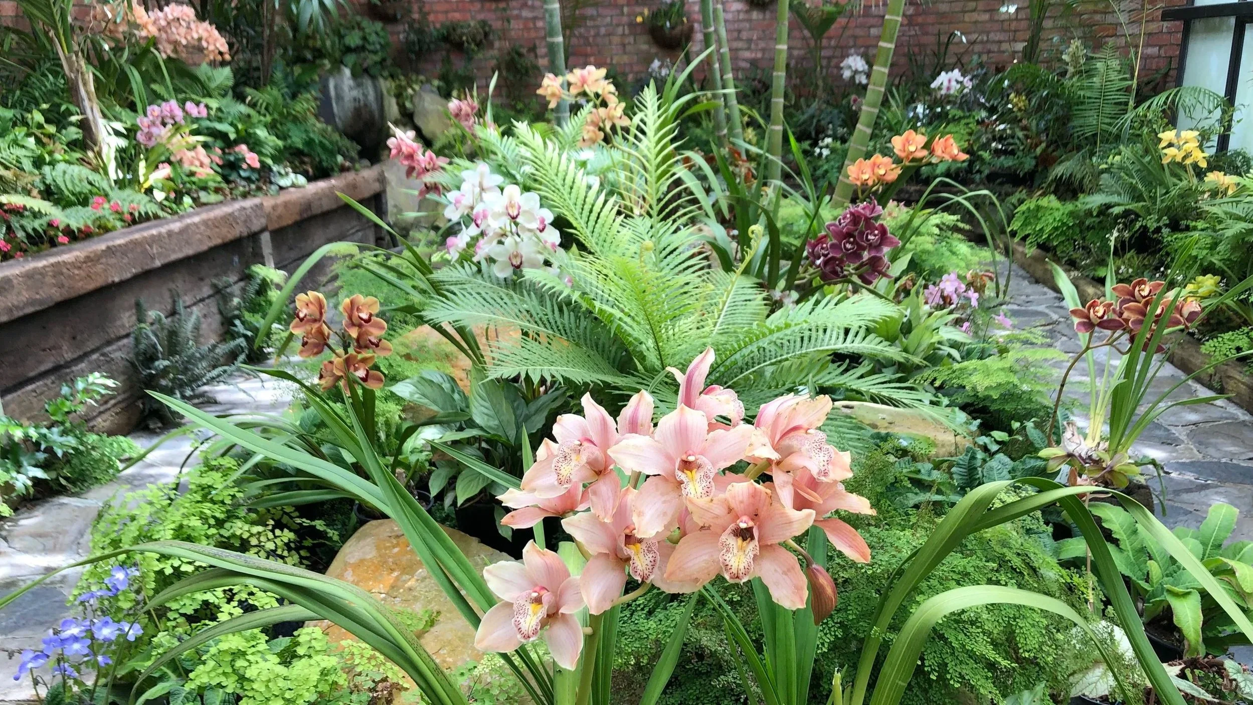 Bason Botanic Garden 