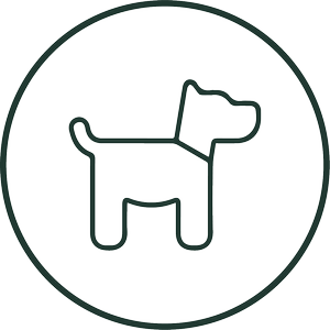 nzgt-dogs.png