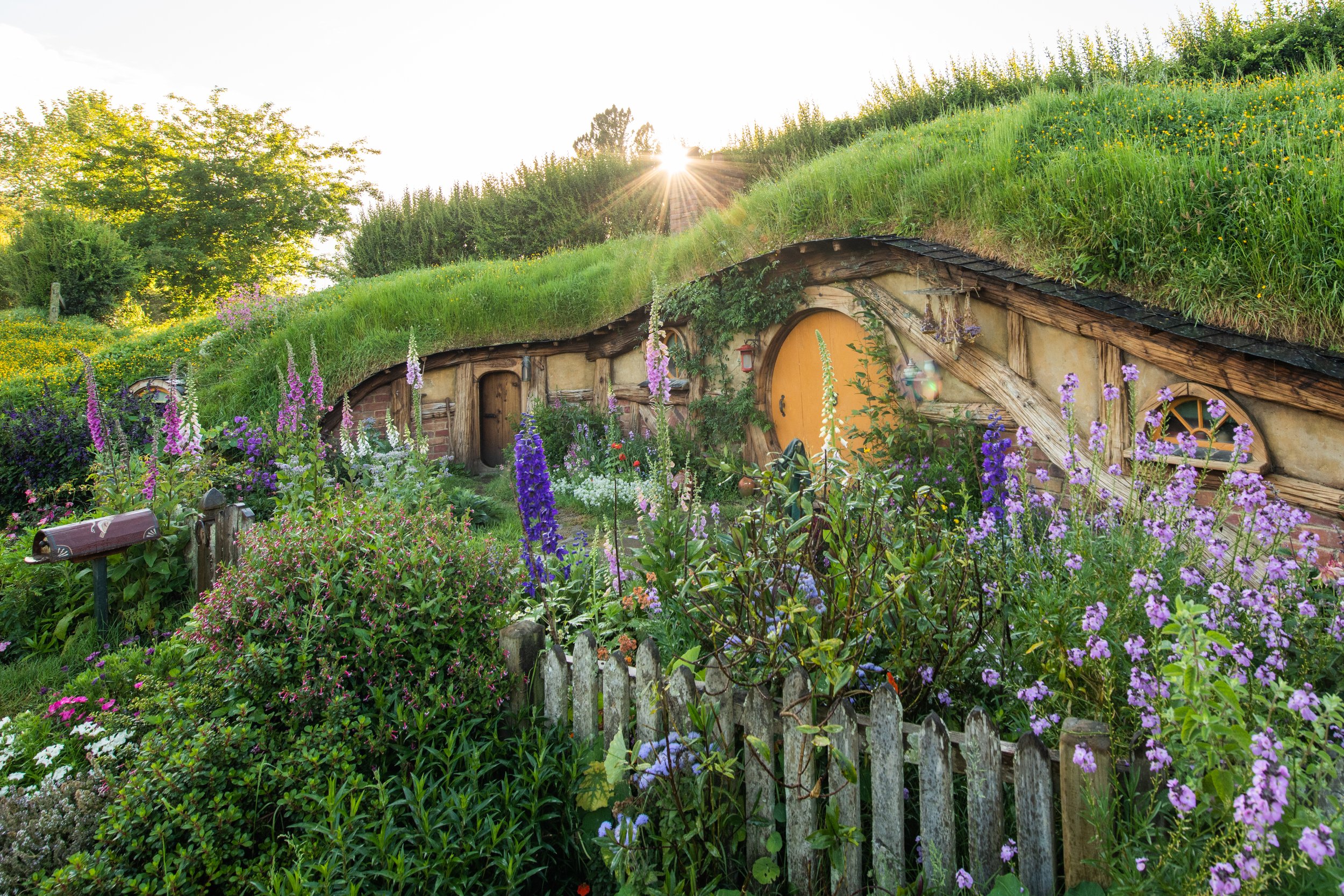 Hobbiton_Nov-2019-SJP-66 - Copy.jpg