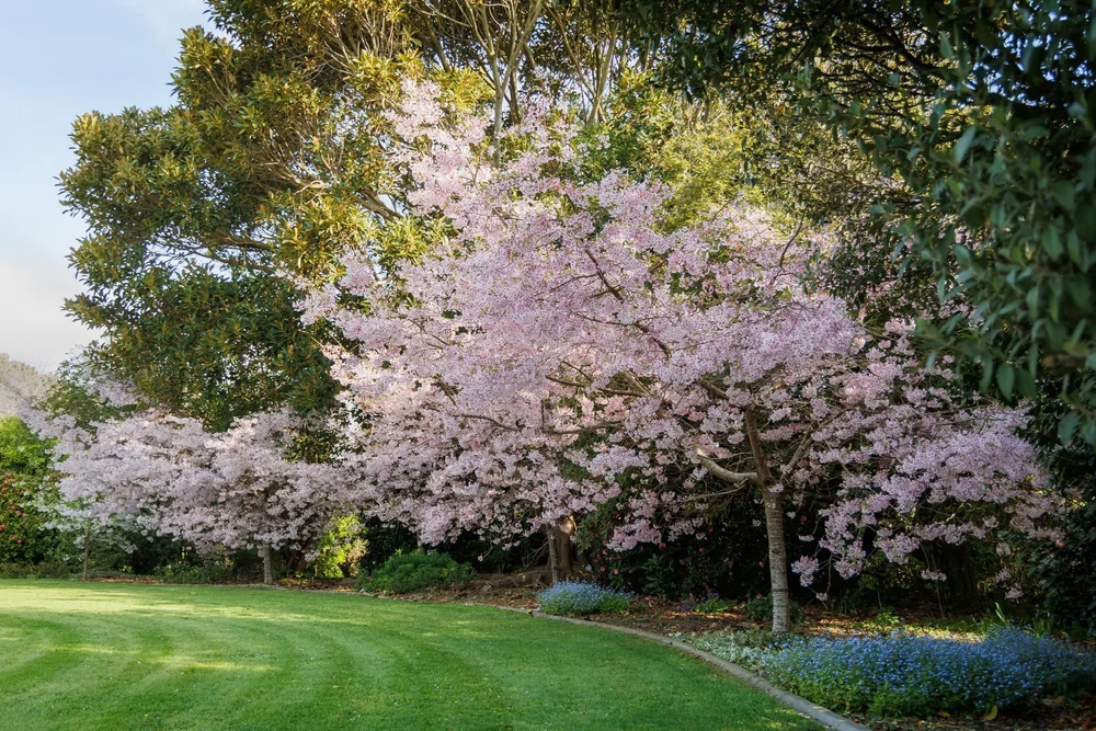 Anam Cara — New Zealand Garden Trust