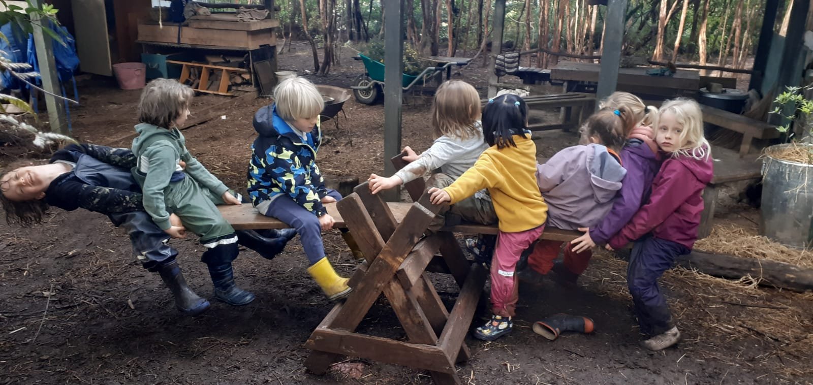 Curious about Steiner Education?