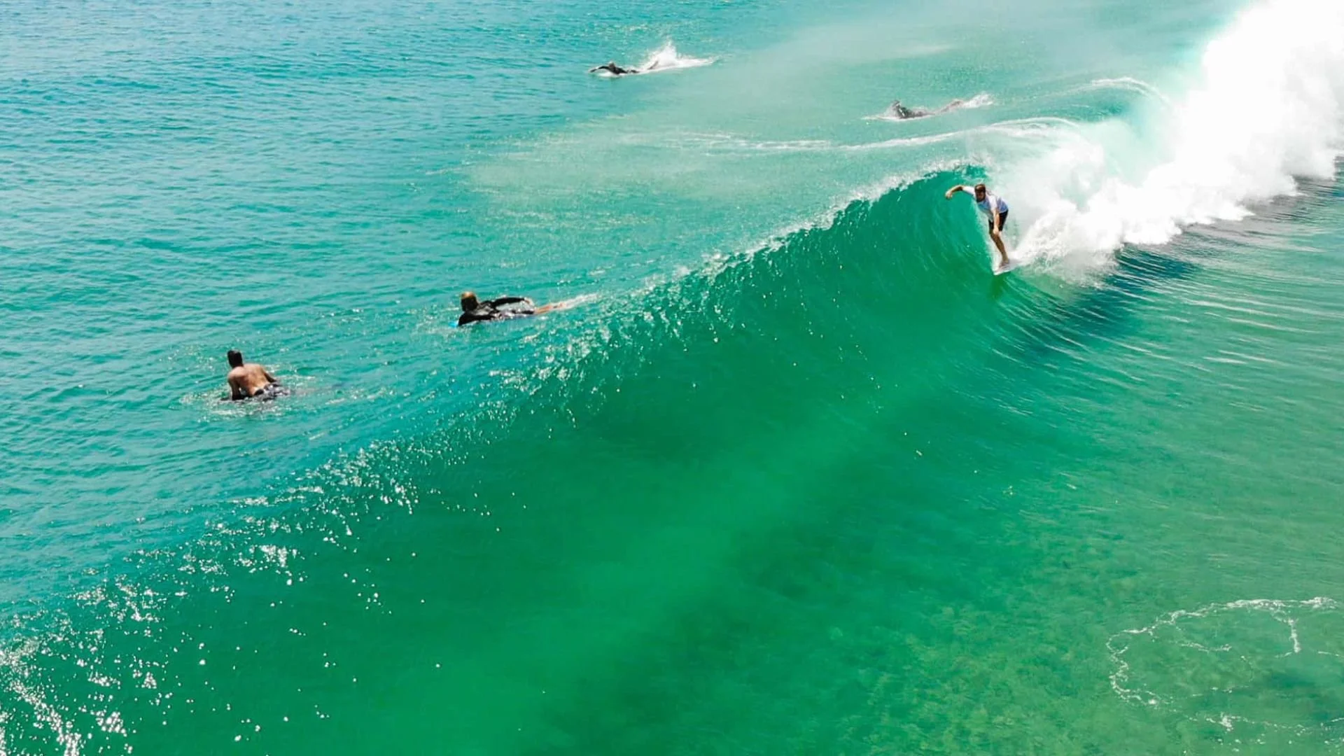 Byron Bay Is Thriving: The Power of Local Makers