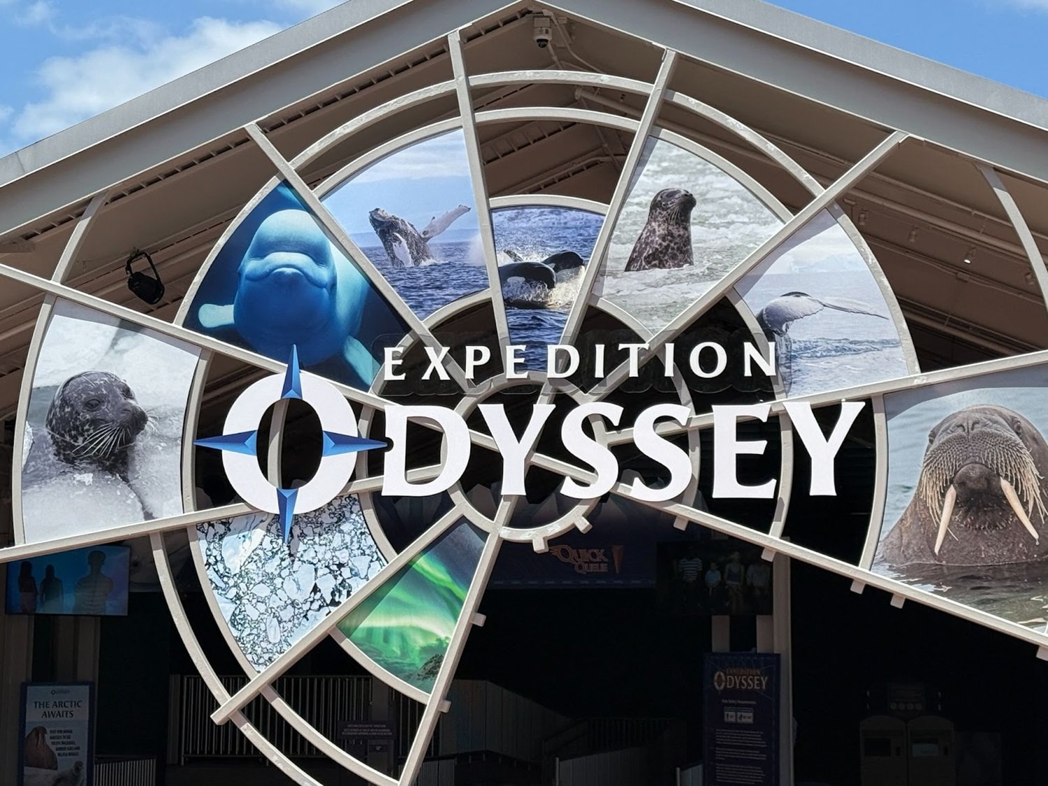 re-ranked-the-top-11-attractions-at-seaworld-orlando-2.jpeg