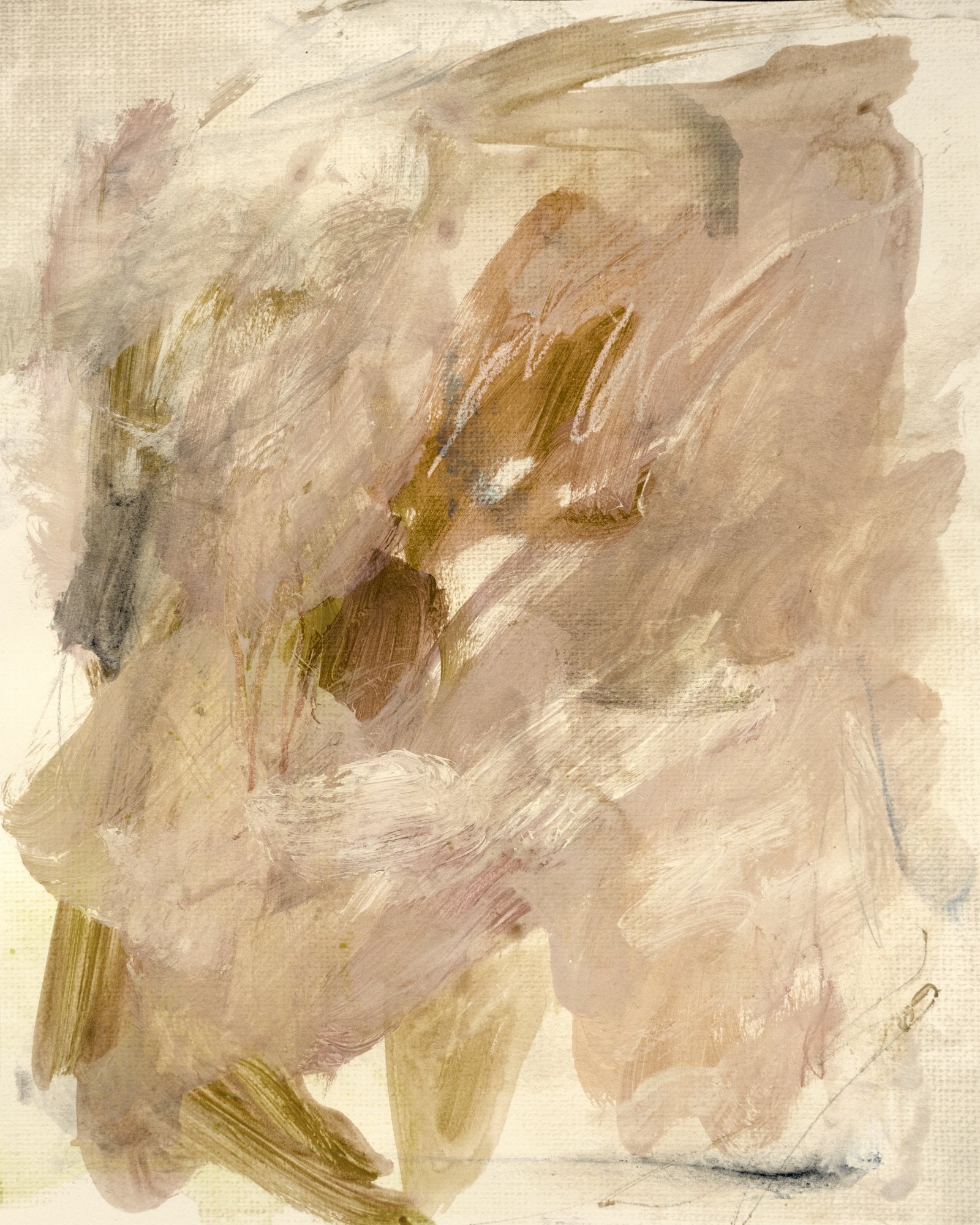 3302760.jpg