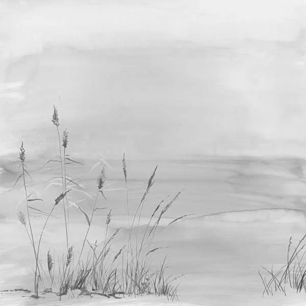 Beachside Grasses B&