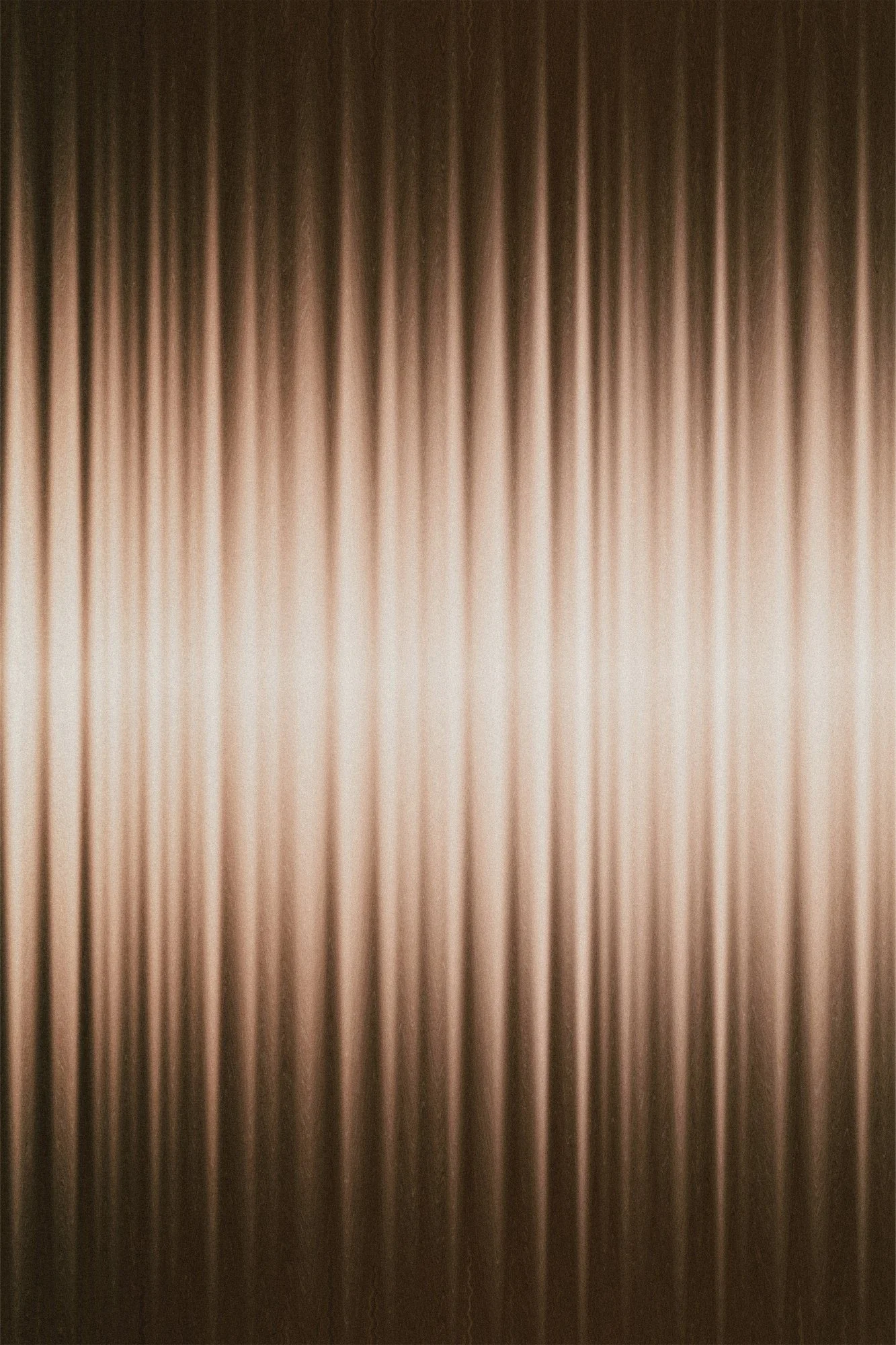 2592940.jpg