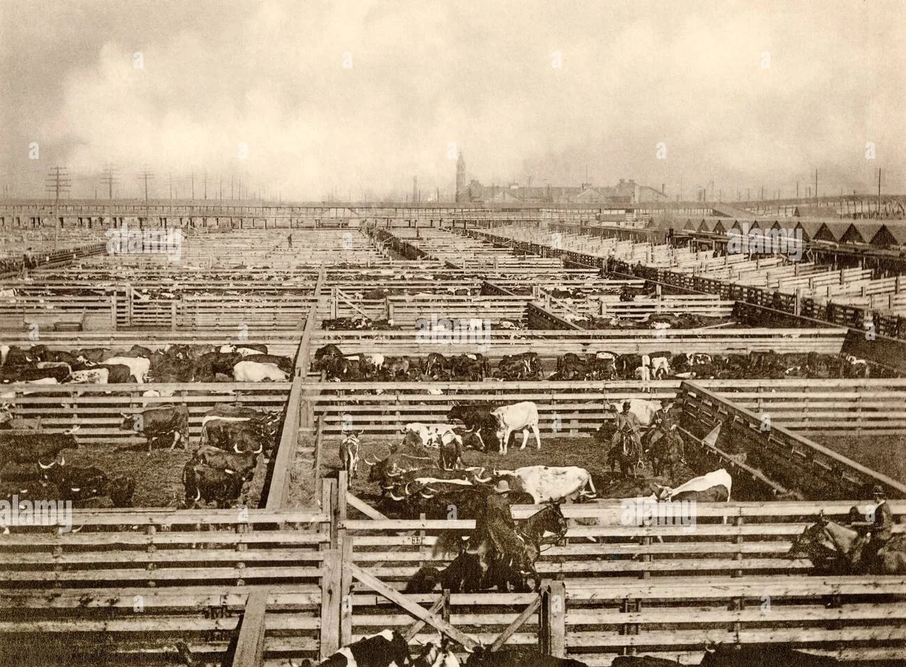 cattle-pens-at-the-union-stockyards-chicago-1890s-albertype-photograph-BBGRW0.jpg