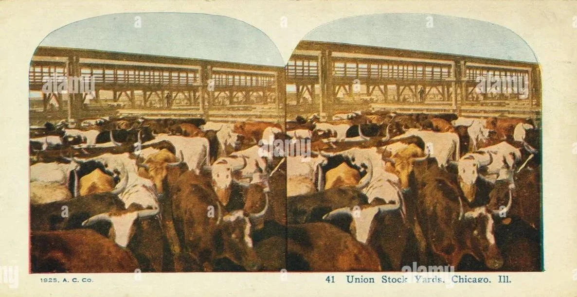 338-union-stock-yards-stockyards-chicago-from-robert-n-dennis-collection-of-stereoscopic-views-2-P3GMKX.jpg