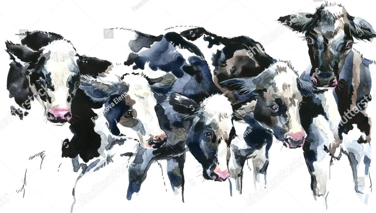 stock-photo-watercolor-cows-illustration-farms-animal-cute-domestic-pet-487022071.jpg