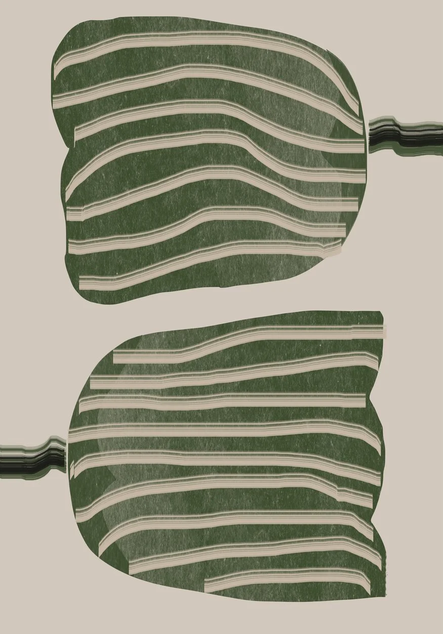 2881822.jpg