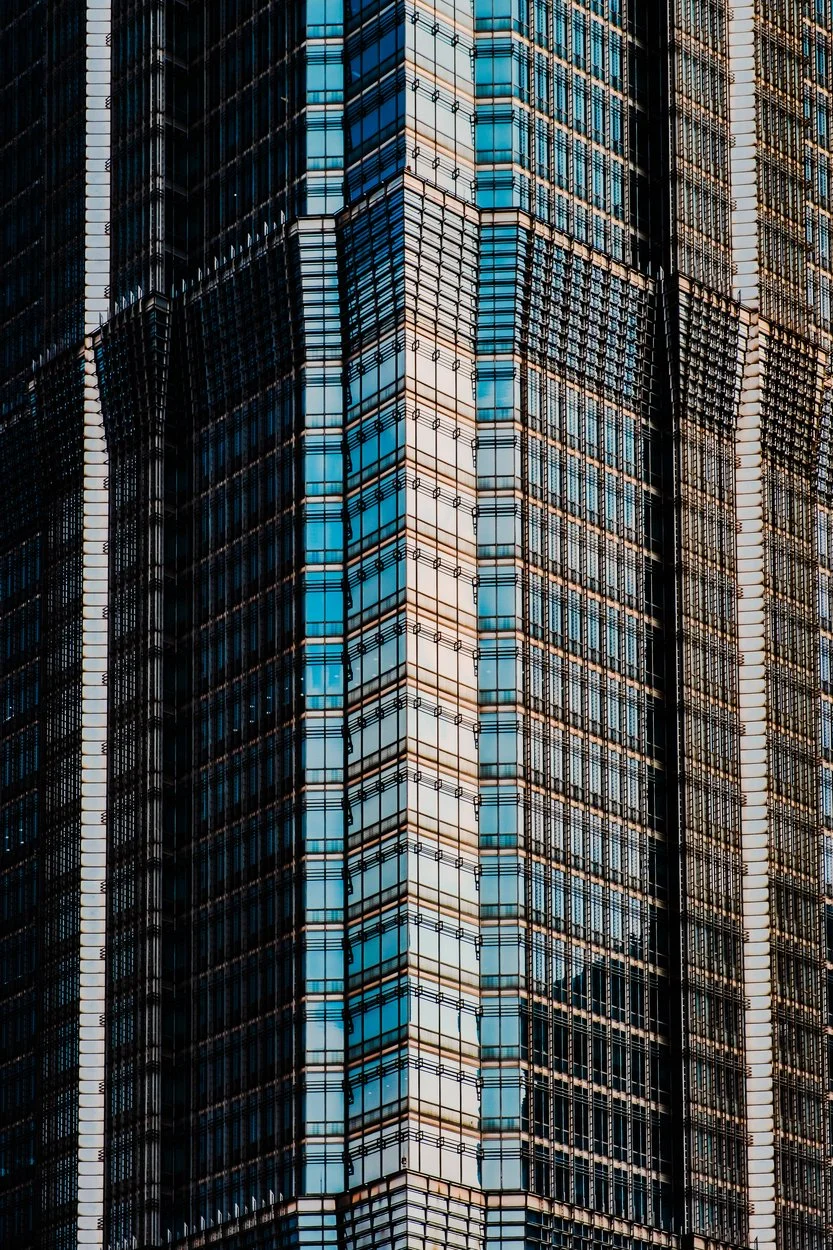 3105821.jpg