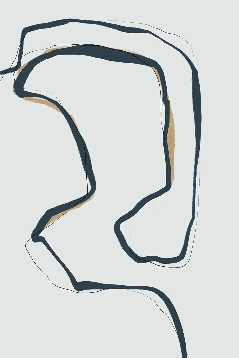 3233043.jpg