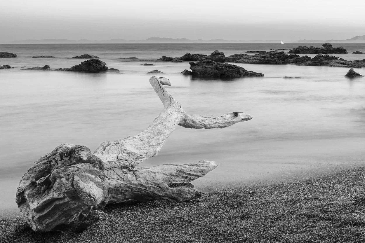 2595816 B&W.jpg