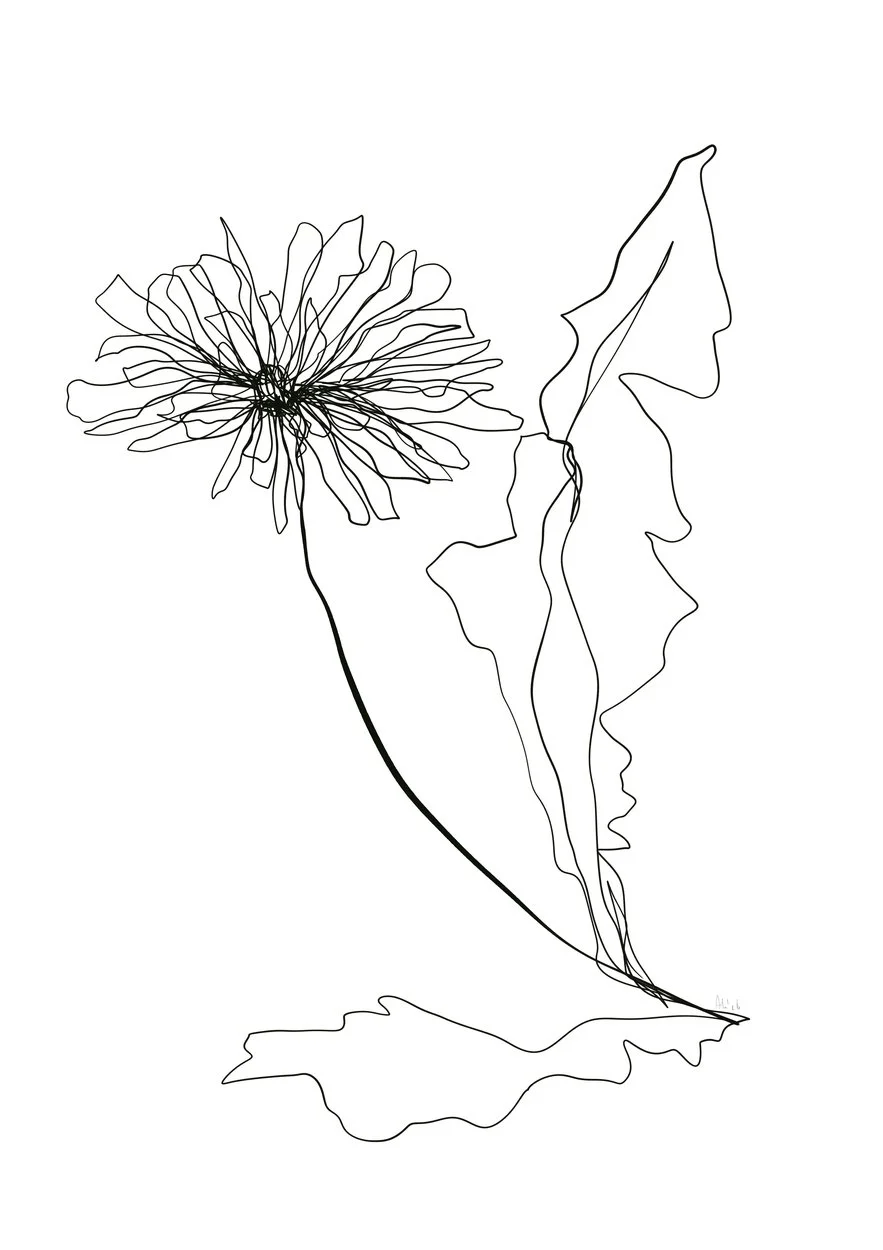 3602223.jpg
