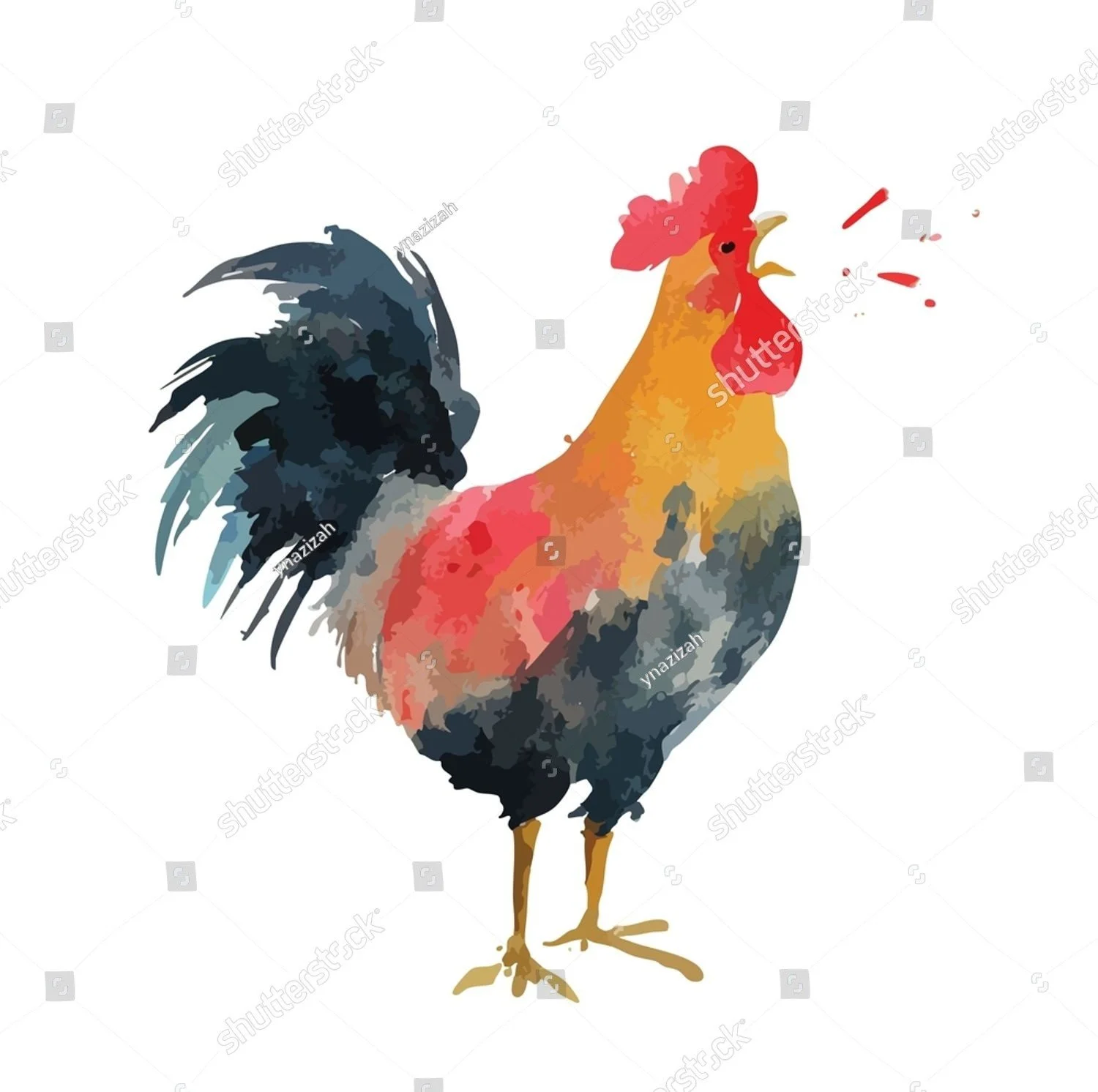 stock-vector-dynamic-watercolor-rooster-illustration-with-vibrant-colors-perfect-for-farm-themes-morning-2743782659.jpg