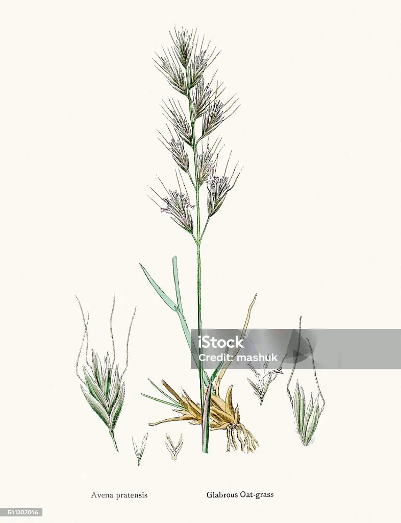 istockphoto-541302046-1024x1024.jpg